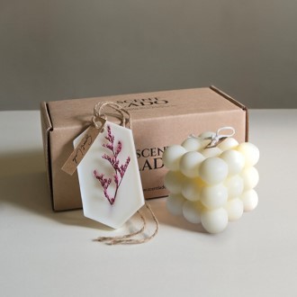 ��Ʈ�� �̴� ������ ĵ��+��ü������ �ν�Ÿ���� ��Ʈ