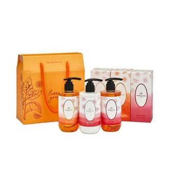 �ǵ������� �ڵ����300ml 1ea/ �ٵ����300ml 1ea/ �ٵ�μ�300ml 1ea/ �ܹڽ����� �ٵ�Ʈ1ȣ