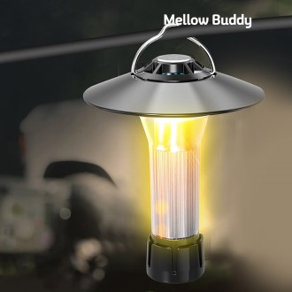 ��ο���� ���� ķ�� �� ���� ���� ����