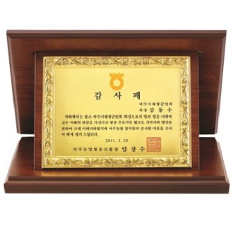 ��ǰ �ݵ��� ���� ������ ���� 5