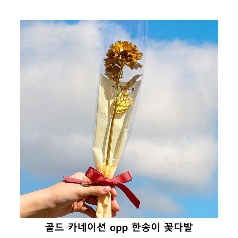 ��ũ�ص� ��� ī���̼� �Ѽ��� �ɴٹ�